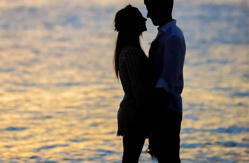 pexels-asadphoto-1024984 (1)_edited.png